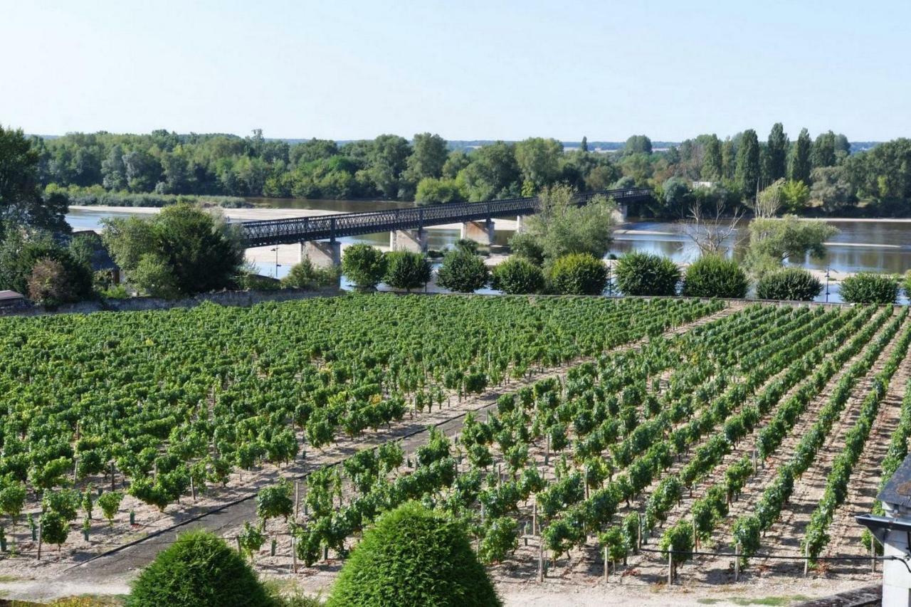 Gite Des Chaumiennes Pouilly-sur-Loire Kültér fotó