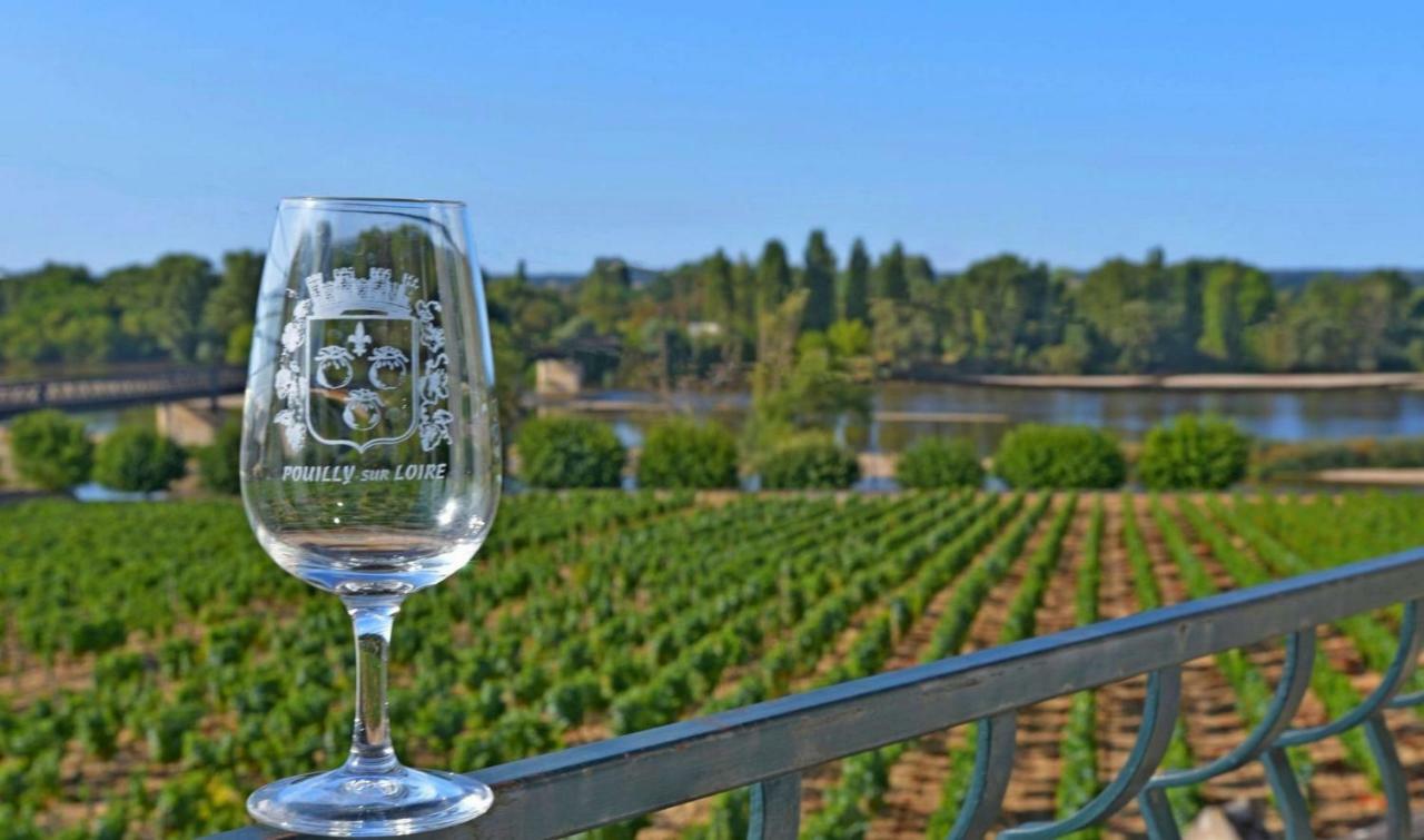 Gite Des Chaumiennes Pouilly-sur-Loire Kültér fotó