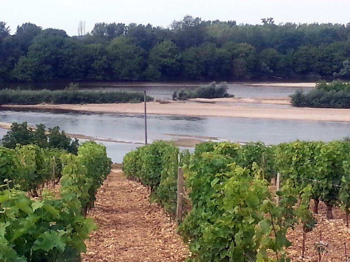 Gite Des Chaumiennes Pouilly-sur-Loire Kültér fotó